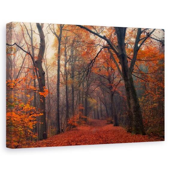 Tablou Canvas - Padurea Decorativa, Marime: 40 x 60 cm - - Roveli