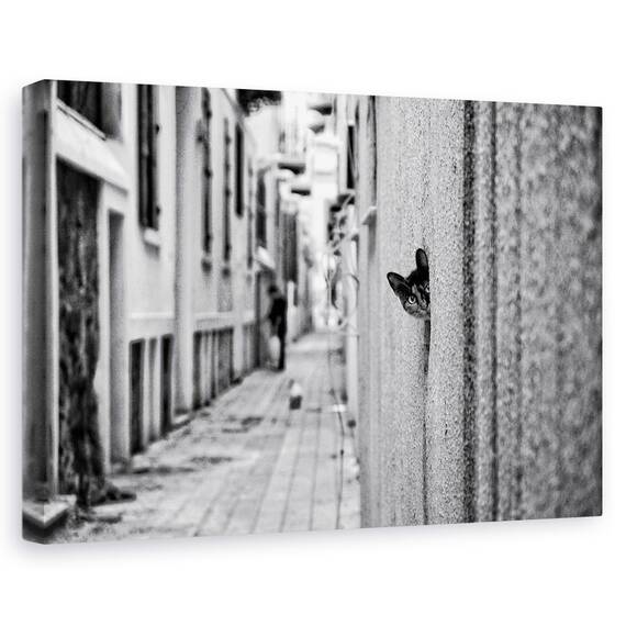 Tablou Canvas - Pet, Marime: 40 x 60 cm - - Roveli