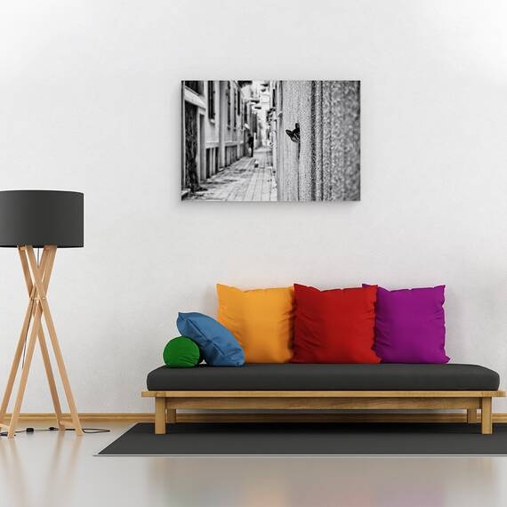 Tablou Canvas - Pet, Marime: 40 x 60 cm - 2- Roveli