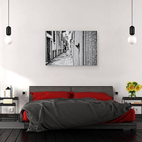 Tablou Canvas - Pet, Marime: 40 x 60 cm - 3- Roveli