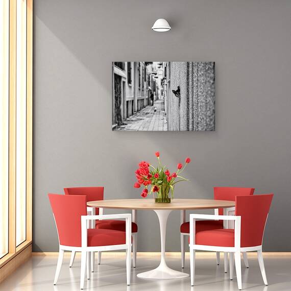 Tablou Canvas - Pet, Marime: 40 x 60 cm - 4- Roveli
