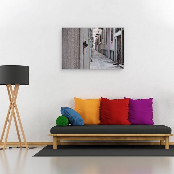 Tablou Canvas - Pisica Din Strada, Marime: 40 x 60 cm - 2- Roveli