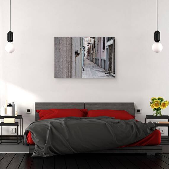Tablou Canvas - Pisica Din Strada, Marime: 40 x 60 cm - 3- Roveli