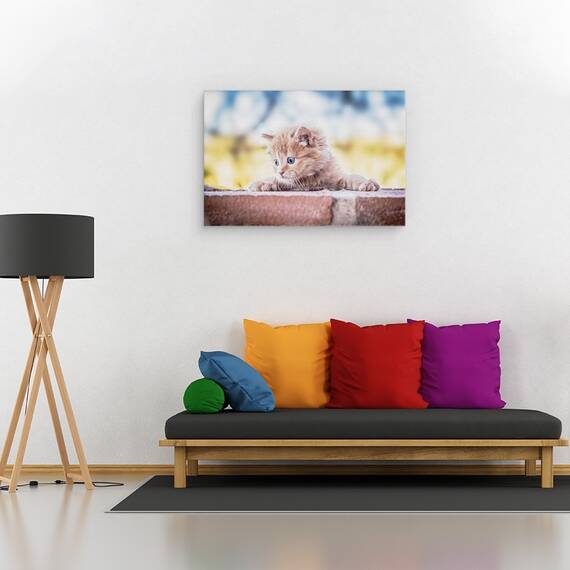 Tablou Canvas - Pisica, Marime: 40 x 60 cm - 2- Roveli