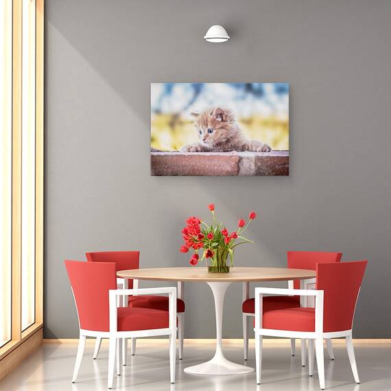 Tablou Canvas - Pisica, Marime: 40 x 60 cm - 4- Roveli