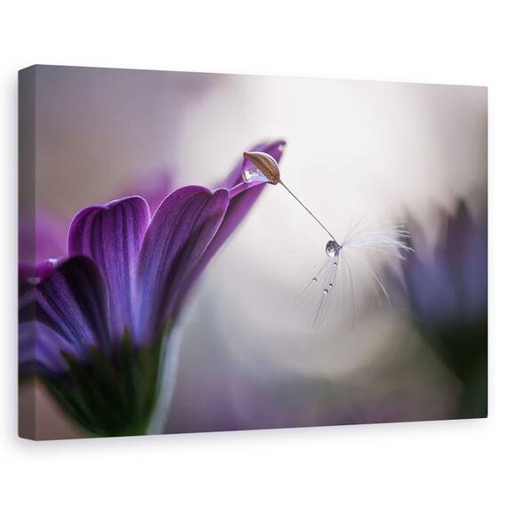 Tablou Canvas - Ploaie Purpurie, Marime: 40 x 60 cm - - Roveli