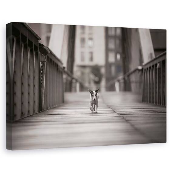 Tablou Canvas - Poti Merge Pe Drumul Tau, Marime: 40 x 60 cm - - Roveli
