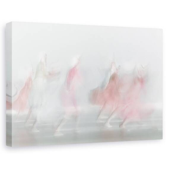 Tablou Canvas - Rosu In Lumina, Marime: 40 x 60 cm - - Roveli