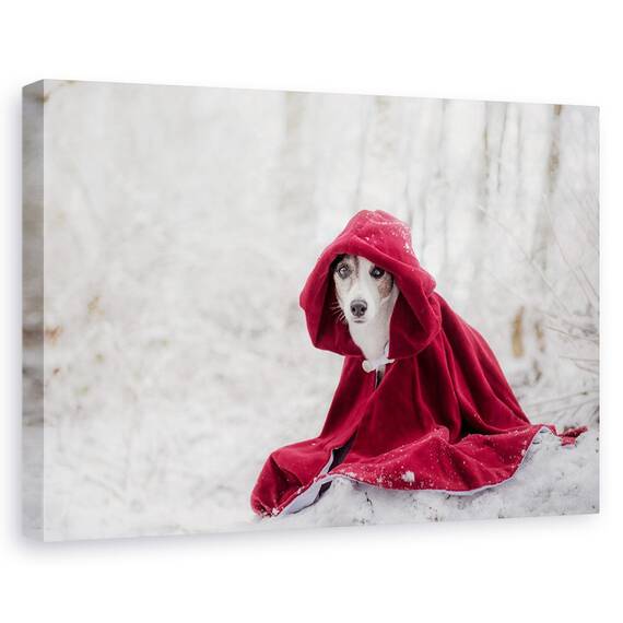 Tablou Canvas - Scufita Rosie In Timpul Iernii, Marime: 40 x 60 cm - - Roveli