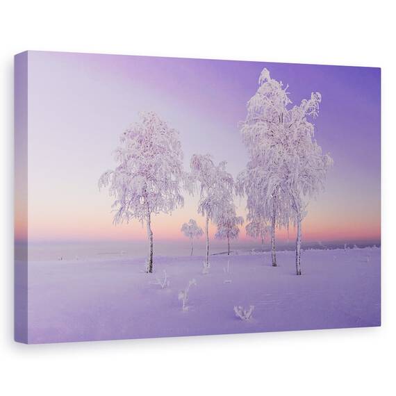 Tablou Canvas - Seara De Ianuarie, Marime: 40 x 60 cm - - Roveli