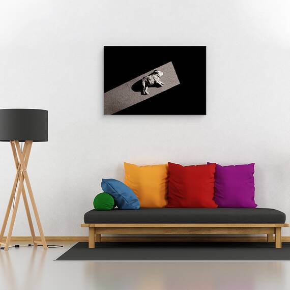 Tablou Canvas - Solar Nealimentat, Marime: 40 x 60 cm - 2- Roveli