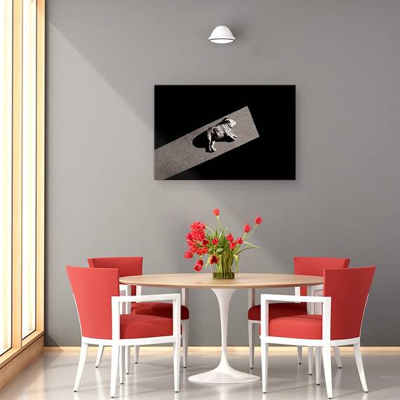 Tablou Canvas - Solar Nealimentat, Marime: 40 x 60 cm - 4- Roveli