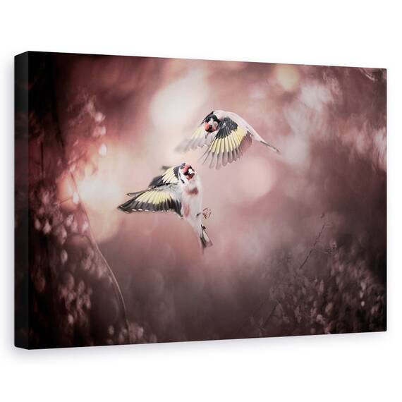 Tablou Canvas - Stiglitz, Marime: 40 x 60 cm - - Roveli