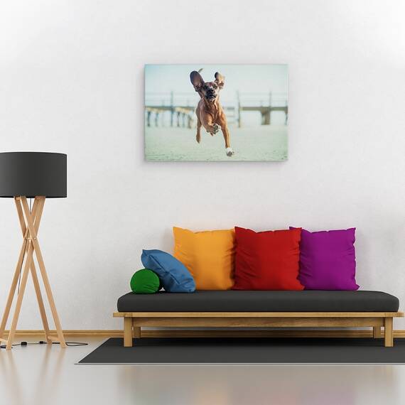 Tablou Canvas - Sus, Pana La Cer, Marime: 40 x 60 cm - 2- Roveli