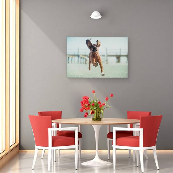 Tablou Canvas - Sus, Pana La Cer, Marime: 40 x 60 cm - 4- Roveli