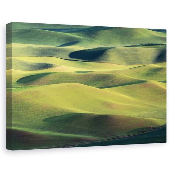 Tablou Canvas - Teren De Vis, Marime: 40 x 60 cm - - Roveli