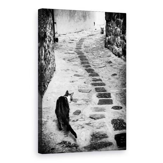 Tablou Canvas - Timpul Infruntarii, Marime: 40 x 60 cm - - Roveli