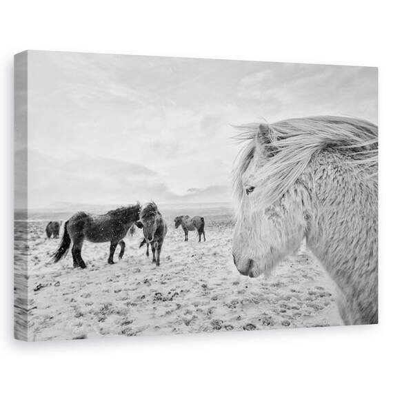 Tablou Canvas - Tipi Duri, Marime: 40 x 60 cm - - Roveli