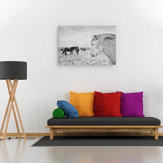 Tablou Canvas - Tipi Duri, Marime: 40 x 60 cm - 2- Roveli