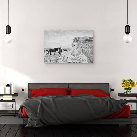 Tablou Canvas - Tipi Duri, Marime: 40 x 60 cm - 3- Roveli