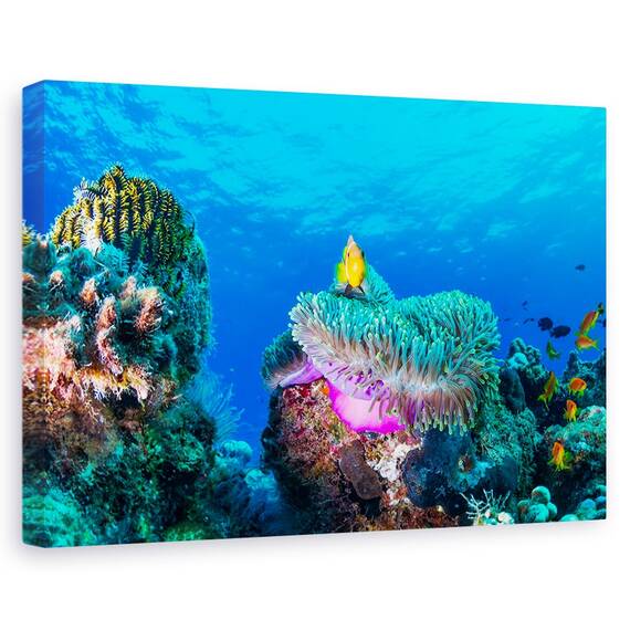 Tablou Canvas - Viata Maritima, Marime: 40 x 60 cm - - Roveli