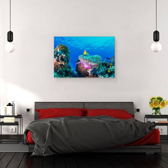 Tablou Canvas - Viata Maritima, Marime: 40 x 60 cm - 3- Roveli