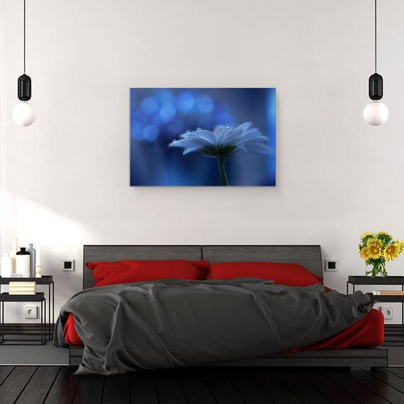 Tablou Canvas - Visele Spatiale, Marime: 40 x 60 cm - 3- Roveli