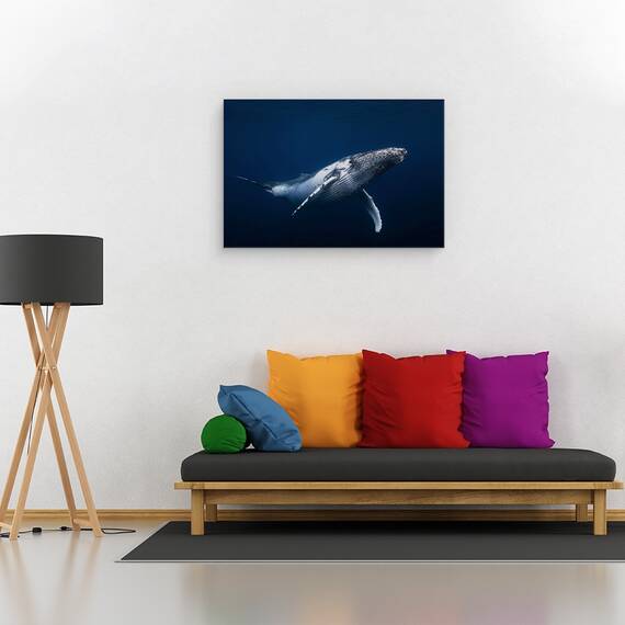 Tablou Canvas - Balena Cu Cocoasa - Albastru, Marime: 40 x 60 cm - 2- Roveli