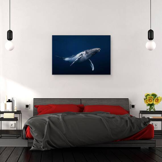 Tablou Canvas - Balena Cu Cocoasa - Albastru, Marime: 40 x 60 cm - 3- Roveli