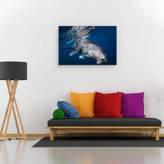 Tablou Canvas - Balena Cu Cocoasa, Marime: 40 x 60 cm - 2- Roveli