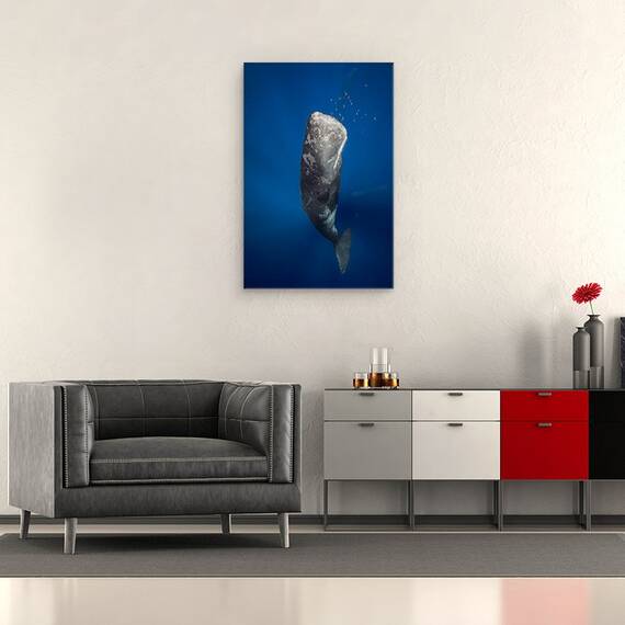 Tablou Canvas - Balena In Lumina, Marime: 40 x 60 cm - 2- Roveli