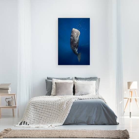 Tablou Canvas - Balena In Lumina, Marime: 40 x 60 cm - 3- Roveli
