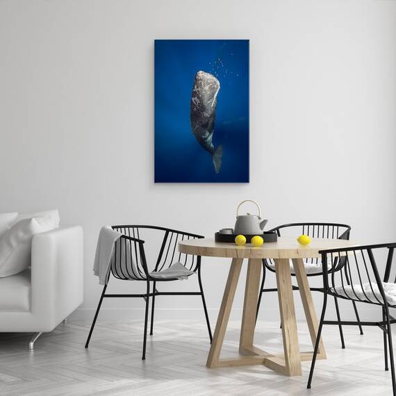 Tablou Canvas - Balena In Lumina, Marime: 40 x 60 cm - 4- Roveli