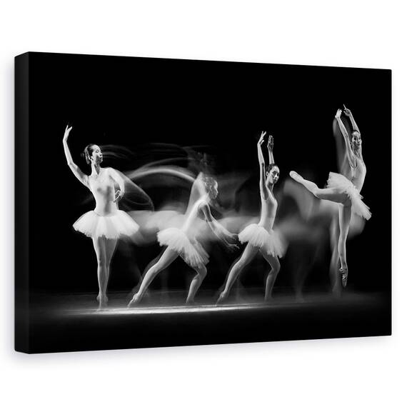 Tablou Canvas - Balerine, Marime: 40 x 60 cm - - Roveli