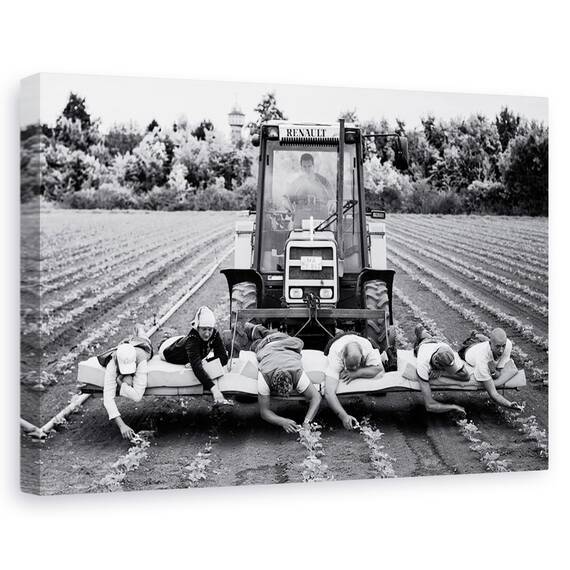 Tablou Canvas - Capsuni, Marime: 40 x 60 cm - - Roveli