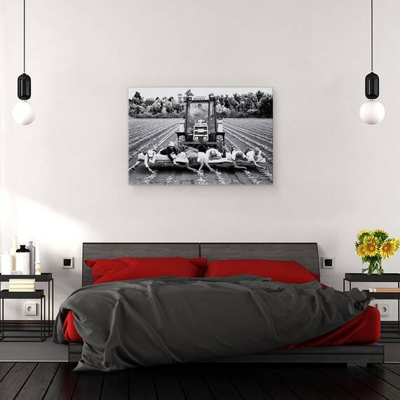 Tablou Canvas - Capsuni, Marime: 40 x 60 cm - 3- Roveli