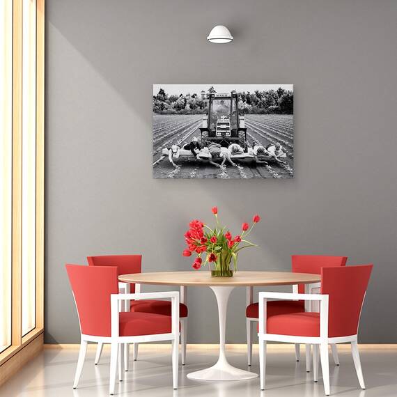 Tablou Canvas - Capsuni, Marime: 40 x 60 cm - 4- Roveli
