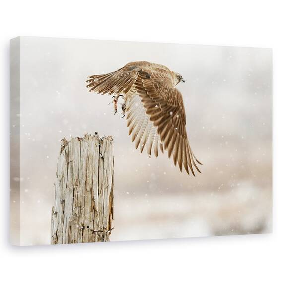 Tablou Canvas - Cu Furtuna De Zapada In Fata, Marime: 40 x 60 cm - - Roveli