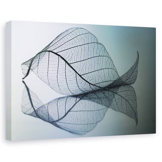 Tablou Canvas - Curvaceousness, Marime: 40 x 60 cm - - Roveli