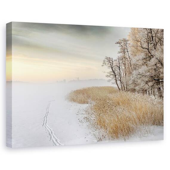 Tablou Canvas - Dimineata Cetoasa De Iarna, Marime: 40 x 60 cm - - Roveli