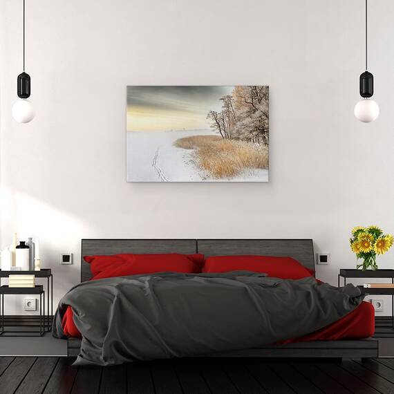 Tablou Canvas - Dimineata Cetoasa De Iarna, Marime: 40 x 60 cm - 3- Roveli