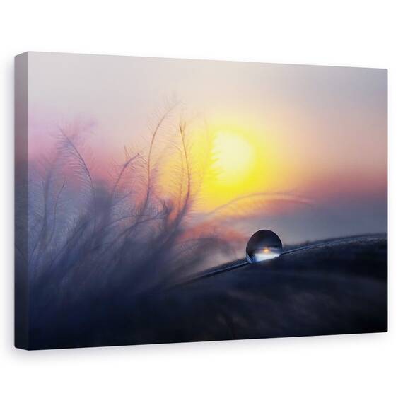 Tablou Canvas - Dimineata, Marime: 40 x 60 cm - - Roveli