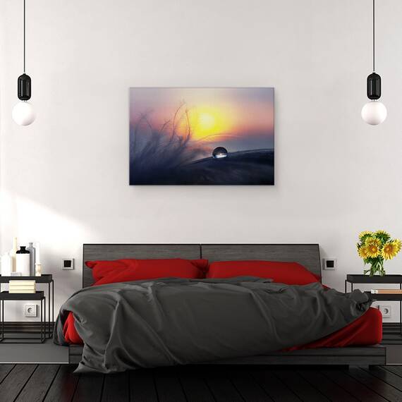 Tablou Canvas - Dimineata, Marime: 40 x 60 cm - 3- Roveli