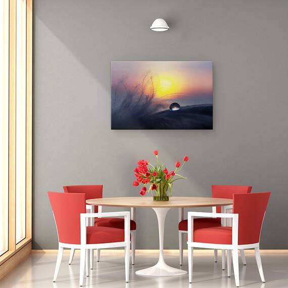 Tablou Canvas - Dimineata, Marime: 40 x 60 cm - 4- Roveli