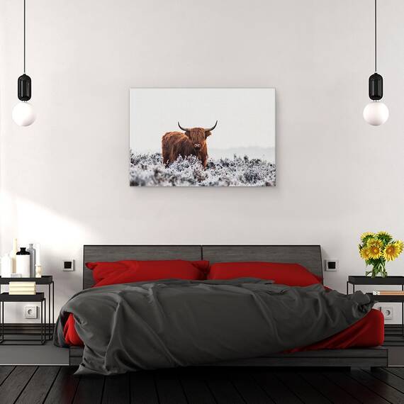 Tablou Canvas - Highlander, Marime: 40 x 60 cm - 3- Roveli
