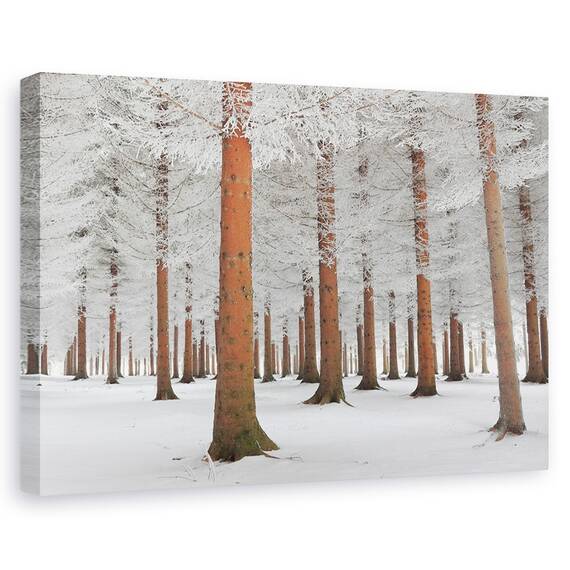 Tablou Canvas - In Alb, Marime: 40 x 60 cm - - Roveli
