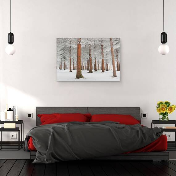 Tablou Canvas - In Alb, Marime: 40 x 60 cm - 3- Roveli