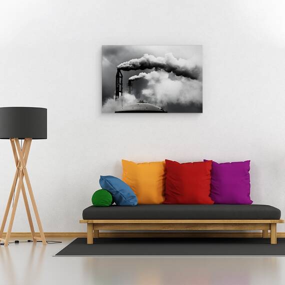 Tablou Canvas - Inspectia Zilnica, Marime: 40 x 60 cm - 2- Roveli