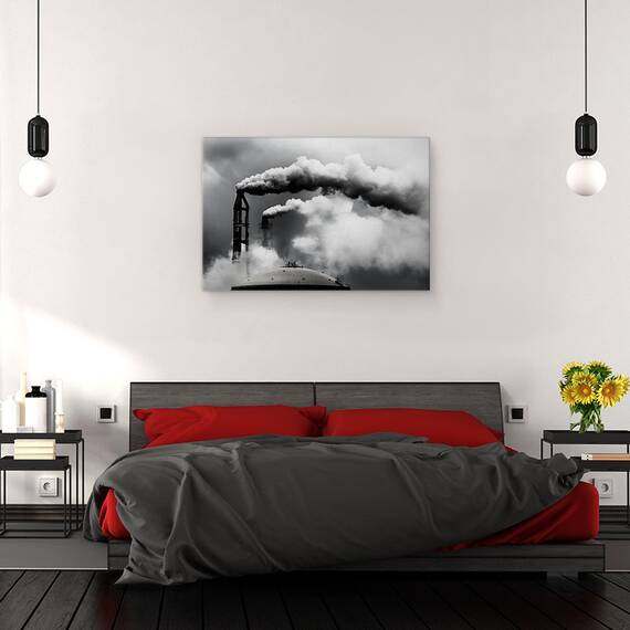 Tablou Canvas - Inspectia Zilnica, Marime: 40 x 60 cm - 3- Roveli