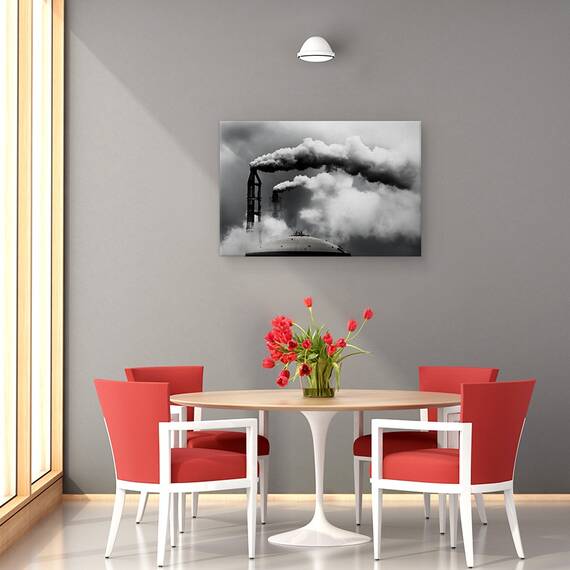 Tablou Canvas - Inspectia Zilnica, Marime: 40 x 60 cm - 4- Roveli